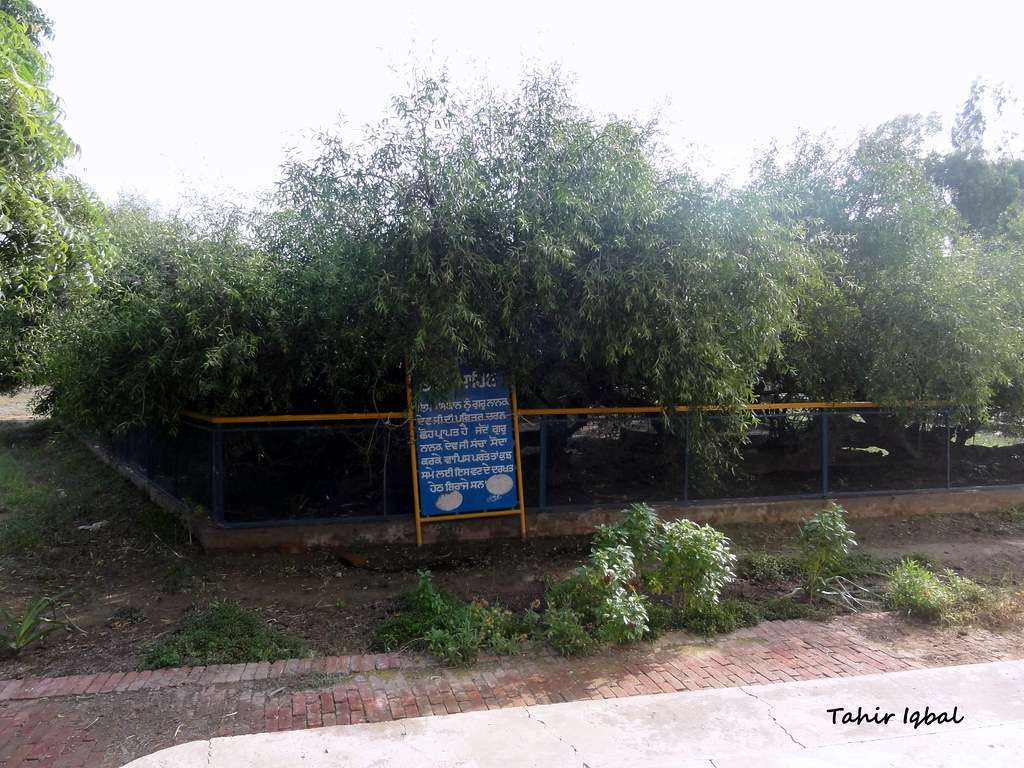 Sri Tambu Sahib, Nankana Sahib